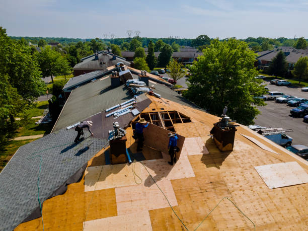 24/7 Emergency Roof Replacement experts in Ann Arbor, MI